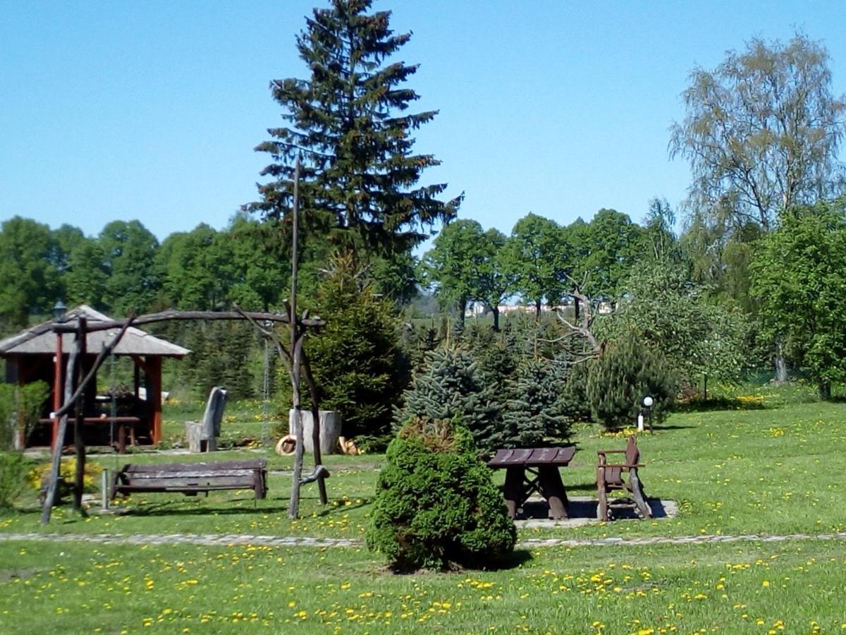 Agroturystyka Andrzejowka Czerniki Экстерьер фото